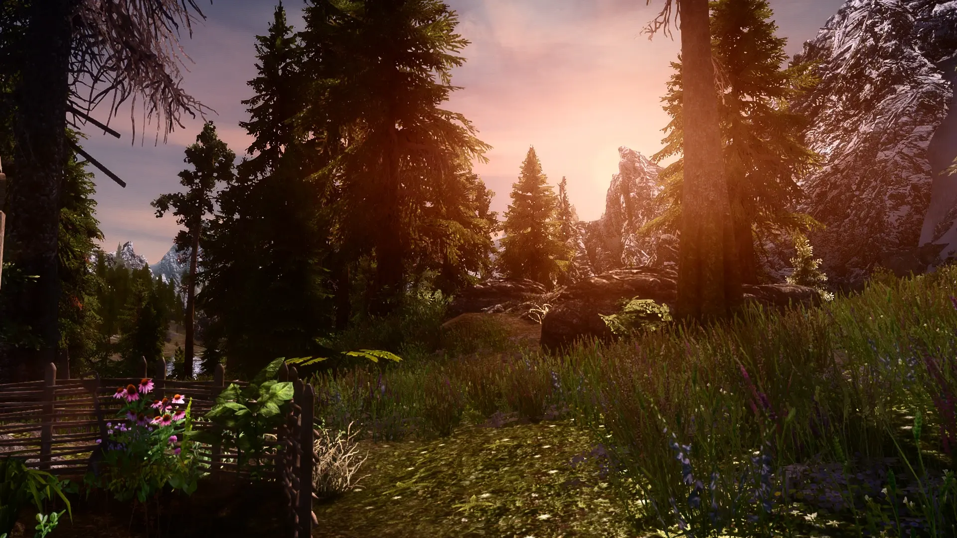 Право сильного